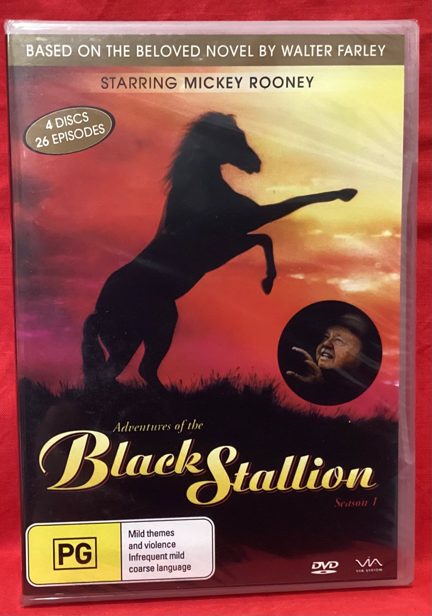 (未使用･未開封品)Adventures of Black Stallion: First Season [DVD] Amazon.com: The Adventures of The Black Stallion: Season 1