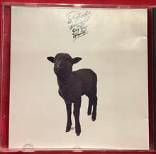 Load image into Gallery viewer, SKYHOOKS - STRAIGHT IN A GAY GAY WORLD (1989) - CD