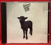 Load image into Gallery viewer, SKYHOOKS - STRAIGHT IN A GAY GAY WORLD (1989) - CD