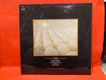 Load image into Gallery viewer, COMPANY CAINE - A PRODUCT OF A BROKEN REALITY LP - VINYL