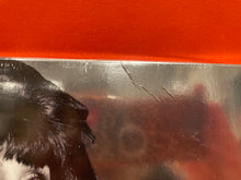 Load image into Gallery viewer, CHER - FOREVER CLASSICS 2X LP - LIMITED EDITION SILVER VINYL (NEW/SEALED)