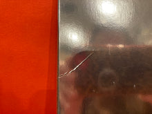 Load image into Gallery viewer, CHER - FOREVER CLASSICS 2X LP - LIMITED EDITION SILVER VINYL (NEW/SEALED)