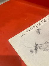 Load image into Gallery viewer, HOMEGROUND THE INTERNATIONAL KATE BUSH FANZINE #46 - WINTER 1992