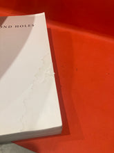 Load image into Gallery viewer, VAGABOND HOLES: DAVID McCOMB & THE TRIFFIDS - CHRIS COUGHRAN & NIALL LUCY - PAPERBACK