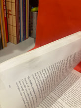 Load image into Gallery viewer, VAGABOND HOLES: DAVID McCOMB & THE TRIFFIDS - CHRIS COUGHRAN & NIALL LUCY - PAPERBACK