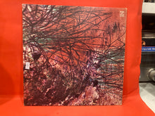 Load image into Gallery viewer, ZIOR - S/T LP - VINYL - RARE UK HARD PSYCH PROG