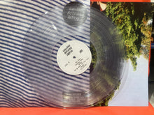 Load image into Gallery viewer, WALLOWS- NOTHING HAPPENS LP - CLEAR VINYL