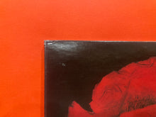 Load image into Gallery viewer, SMASHING PUMPKINS - ADORE 2x LP - ORIGINAL 1998 PRESS - VINYL