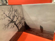 Load image into Gallery viewer, SMASHING PUMPKINS - ADORE 2x LP - ORIGINAL 1998 PRESS - VINYL