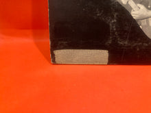 Load image into Gallery viewer, SOCRATES DRANK THE CONIUM - TASTE OF CONIUM LP - VINYL