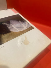 Load image into Gallery viewer, BJORK - GREATEST HITS & FAMILY TREE - 6XCD + VHS PROMO BOX SET