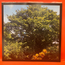 Load image into Gallery viewer, MIKE OLDFIELD - RETURN TO OMMADAWN  LP - 180G VINYL - HALF SPEED MASTER