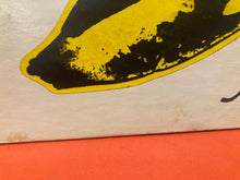 Load image into Gallery viewer, THE VELVET UNDERGROUND - VELVET UNDERGROUND & NICO LP - 1973 U.S. PRESS with banana sticker VINYL
