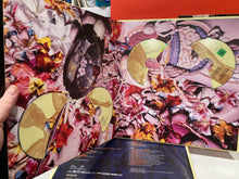 Load image into Gallery viewer, NIRVANA - IN UTERO - 3X CD + DVD BOX SET