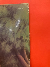 Load image into Gallery viewer, GALADRIEL - S/T LP - VINYL - RARE OZ PROG