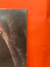 Load image into Gallery viewer, THE AMITY AFFLICTION - CHASING GHOSTS LP - VINYL
