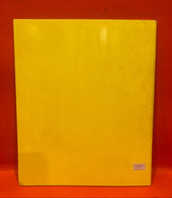 Load image into Gallery viewer, PRINCE & THE NPG - 1992 WORLD TOUR PROGRAM