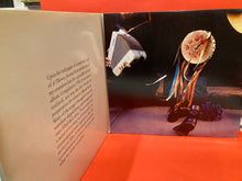 Load image into Gallery viewer, PATTI SMITH - TWELVE 2XLP - VINYL (2007) VG+