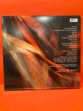 Load image into Gallery viewer, PATTI SMITH - TWELVE 2XLP - VINYL (2007) VG+