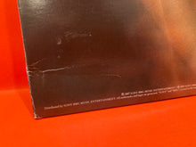 Load image into Gallery viewer, PATTI SMITH - TWELVE 2XLP - VINYL (2007) VG+