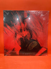 Load image into Gallery viewer, MR FLABIO - WE WILL RIOT - VINYL LP (NEW SEALED)