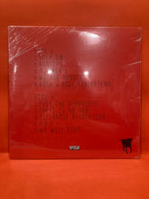 Load image into Gallery viewer, MR FLABIO - WE WILL RIOT - VINYL LP (NEW SEALED)