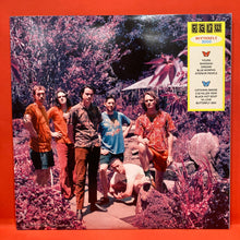 Load image into Gallery viewer, KING GIZZARD & THE LIZARD WIZARD - BUTTERFLY LP - CATERPILLAR RED VINYL