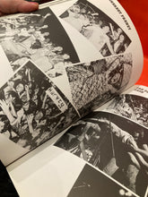 Load image into Gallery viewer, ROCKLENS - ROCK PHOTOGRAPHY BY BOB KING - EDITED AND ANNOTATED BY GLENN A BAKER - BOOK