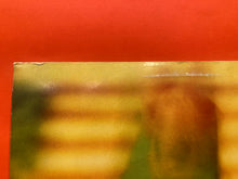 Load image into Gallery viewer, SMASHING PUMPKINS - PISCES ISCARIOT LP - TRANS YELLOW VINYL