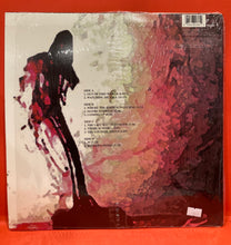 Load image into Gallery viewer, THE CURE - BLOODFLOWERS 2XLP - 2000 U.S. PRESS