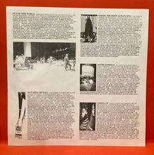 Load image into Gallery viewer, THE CURE - BLOODFLOWERS 2XLP - 2000 U.S. PRESS