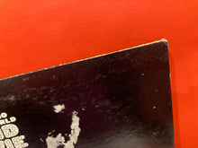 Load image into Gallery viewer, DAVID BOWIE - THE MAN WHO SOLD THE WORLD LP - VINYL JAPANESE PROMO PRESS