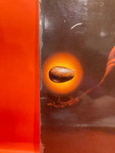 Load image into Gallery viewer, RAY RIVAMONTE - BIRTH OF THE SUN LP - VINYL