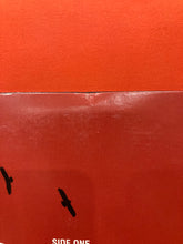 Load image into Gallery viewer, THEM CROOKED VULTURES - S/T 2X LP - 180g VINYL