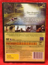 Load image into Gallery viewer, THE JUNGLE BOOK (LIVE ACTION) - DVD (NEW/ SEALED)
