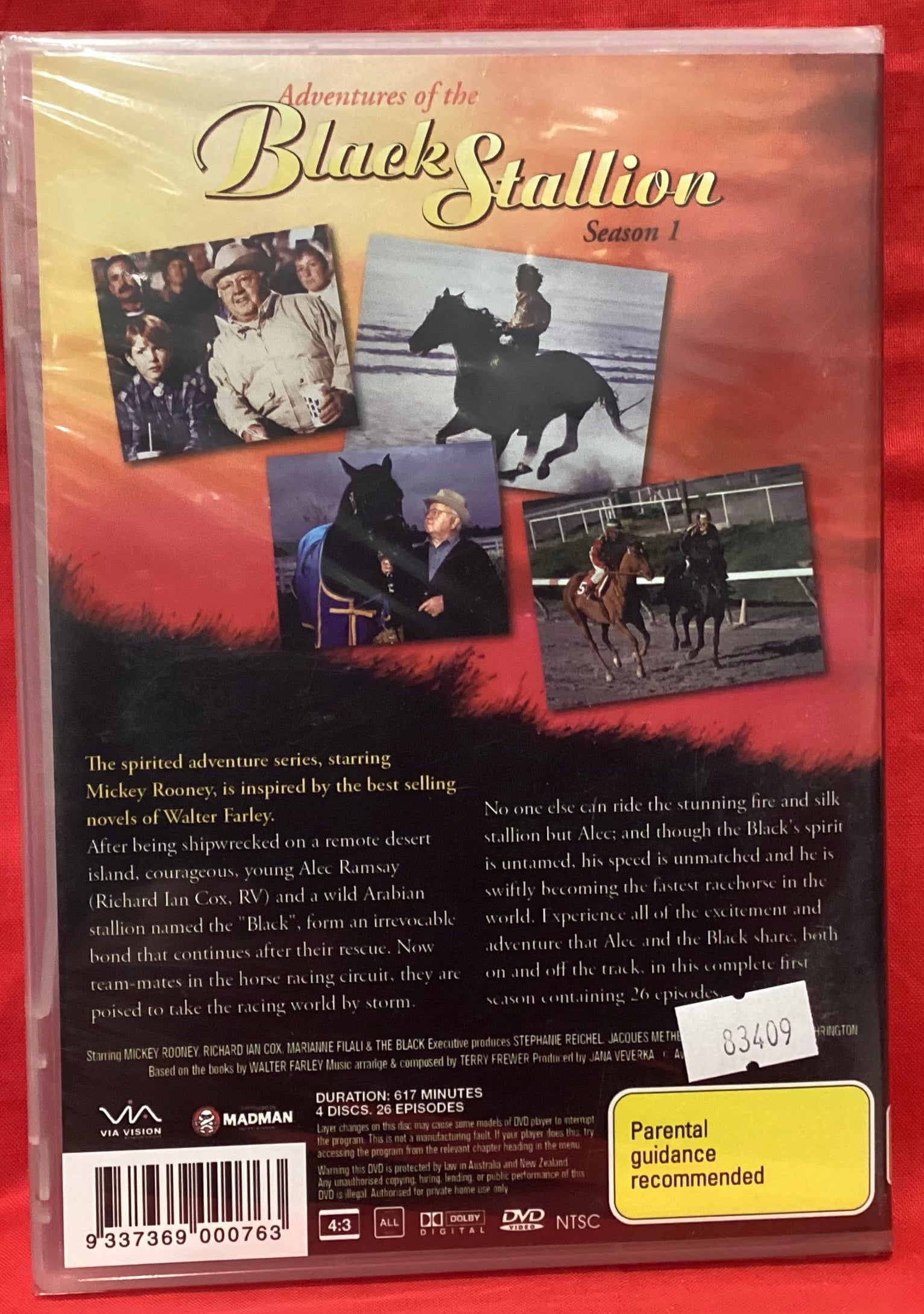 ADVENTURES OF THE BLACK STALLION - SEASON 1 - DVD (NEW / SEALED