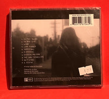 Load image into Gallery viewer, FIONA APPLE - WHEN THE PAWN - CD (SEALED)
