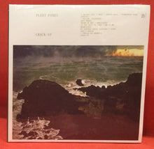 Load image into Gallery viewer, FLEET FOXES - CRACK UP -  CD (NEW/ SEALED)
