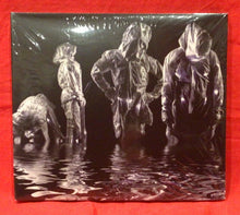 Load image into Gallery viewer, TISM - DEATH TO ART  - CD (NEW/ SEALED)
