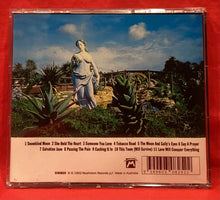 Load image into Gallery viewer, BRODERICK SMITH - SUITCASE - CD
