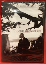 Load image into Gallery viewer, WILD STRAWBERRIES - CRITERION COLLECTION DVD - BERGMAN - NEW SEALED ZONE 1
