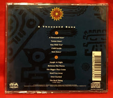 Load image into Gallery viewer, RUSSELL MORRIS - A THOUSAND SUNS - CD

