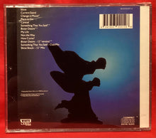 Load image into Gallery viewer, KIDS IN THE KITCHEN - SHINE CD WITH BONUS 12&quot; MIXES
