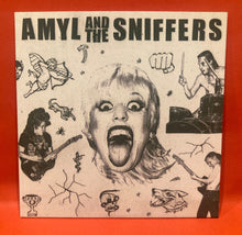 Load image into Gallery viewer, AMYL &amp; THE SNIFFERS - S/T - PROMO CD-R
