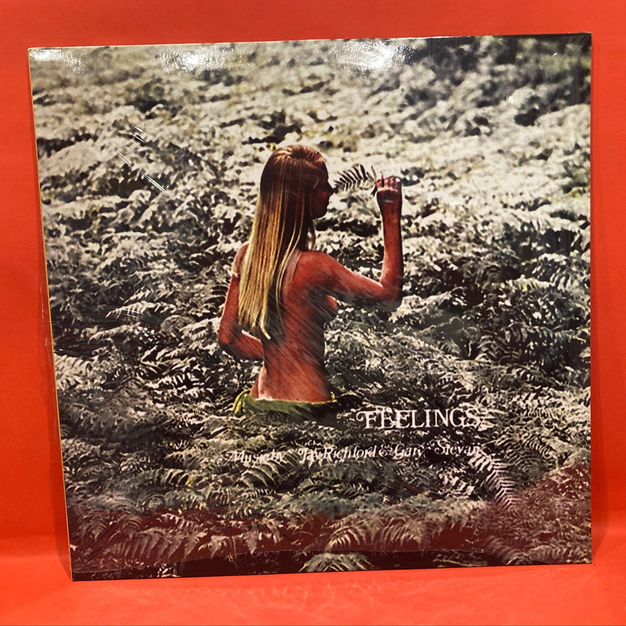 Jay Richford & Gary Stevan – Feelings. Be With Records Vinyl LP Jay Richford & Gary Stevan – Feelings. Be With Records Vinyl LP