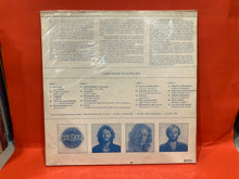 Load image into Gallery viewer, BEE GEES - GREATEST 2X LP - ARGENTINA PROMO -  VINYL
