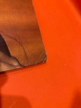 Load image into Gallery viewer, RICKIE LEE JONES - S/T  LP - VINYL -  ORIGINAL MASTER MFSL - AUDIOPHILE

