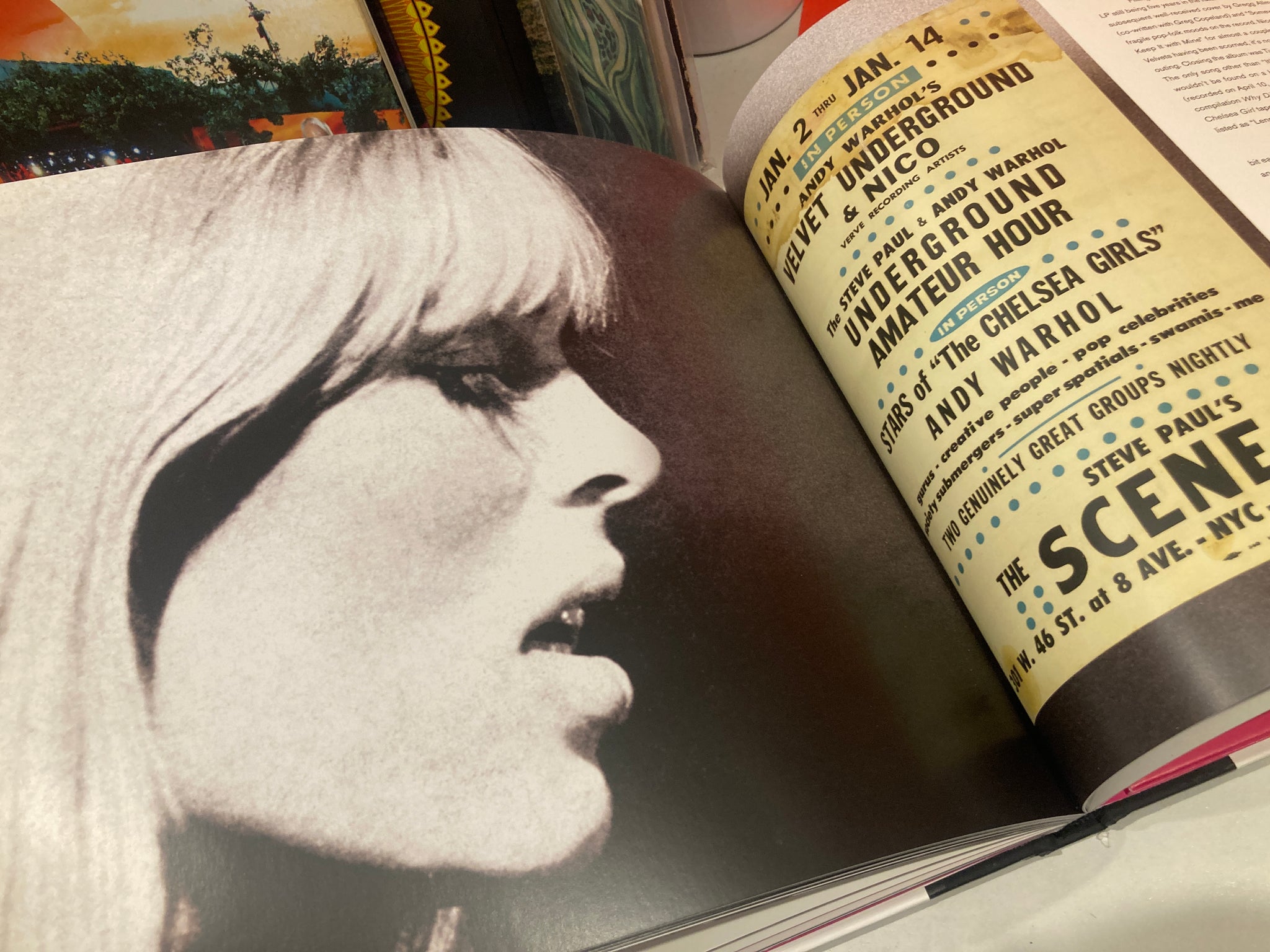 Velvet Underground&Nico 45周年記念 特別限定盤 The Velvet Underground & Nico 45th Anniversary (Deluxe Edition