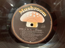Load image into Gallery viewer, SKYHOOKS - LIVING IN THE 70&#39;S  LP - VINYL
