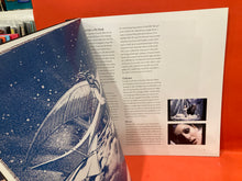 Load image into Gallery viewer, SMASHING PUMPKINS - 4XLP 180g VINYL BOX SET
